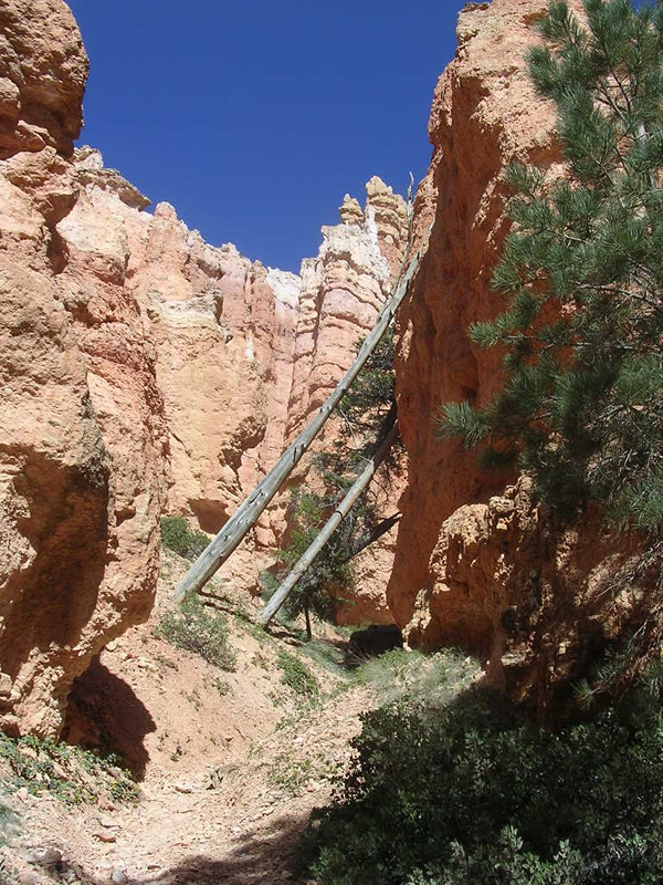 Bryce Canyon National Park